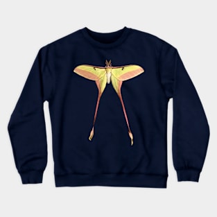 Chinese Moon Moth Male Crewneck Sweatshirt